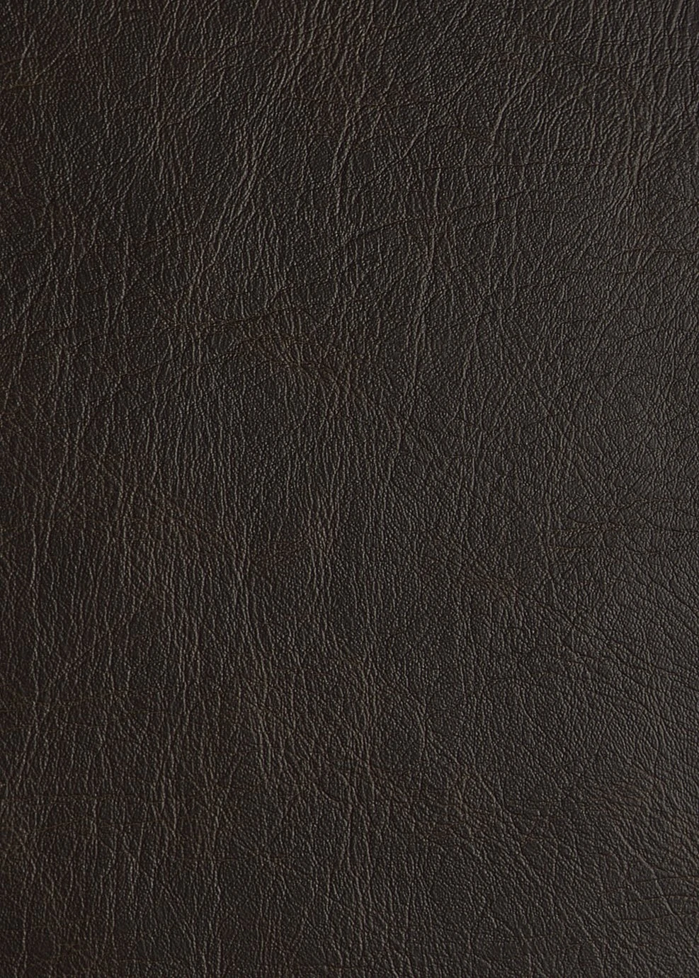 Habitat Salisbury Leather 2 Seater Sofa - Chocolate 5 Habitat Salisbury Leather 2 Seater Sofa - Chocolate - Image 3